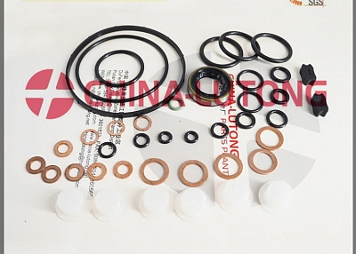 cav injector pump rebuild kit  