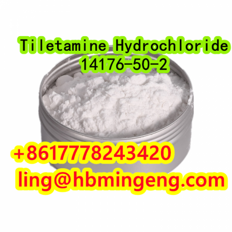 CAS 14176-50-2 Tiletamine Hydrochloride Hot Selling Good Quality Made in China