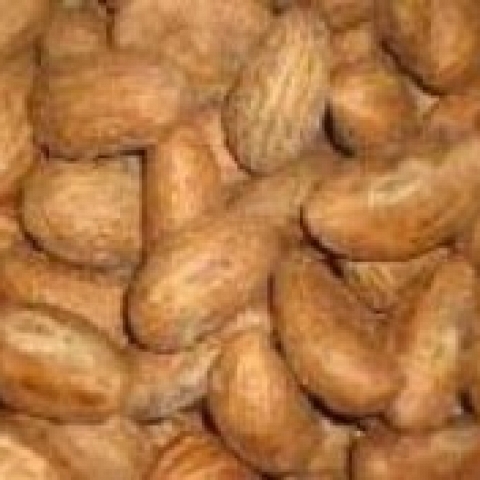 kola nut and bitter kola