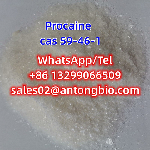 Procaine hcl CAS 59-46-1 C13H20N2O2