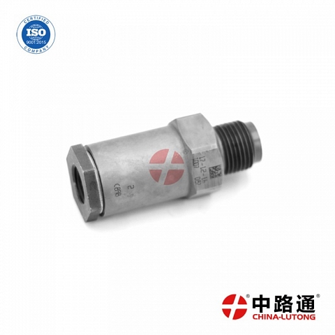 Common Rail Pressure Release Valve 1 110 010 007 for diesel fuel injectiom pump