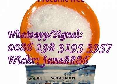  china factory High Purity 99% High Quality Procaine Hydrochloride Procaine HCl CAS 59-46-1