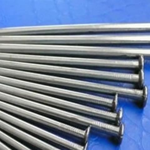 Common Round Galvanized Iron Wire Nails for General Fastening Uses