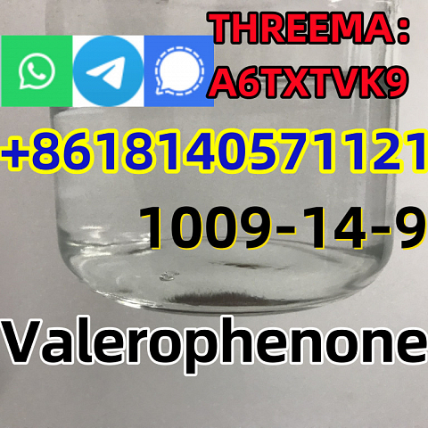 99% purity Valerophenone Cas 1009-14-9 factory price warehouse Europe