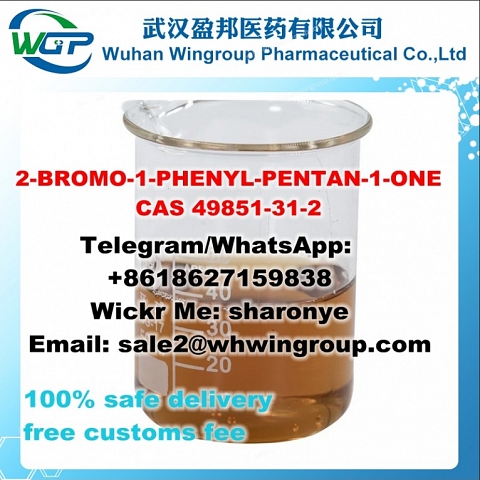 +8618627159838 Buy 2-BROMO-1-PHENYL-PENTAN-1-ONE CAS 49851-31-2 to Russia/Ukraine/USA/Australia