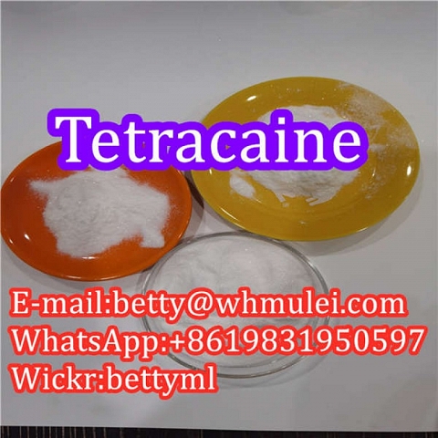 Cas:94-24-6 factory tetracaine base,tetracaine powder favorable price safe delivery