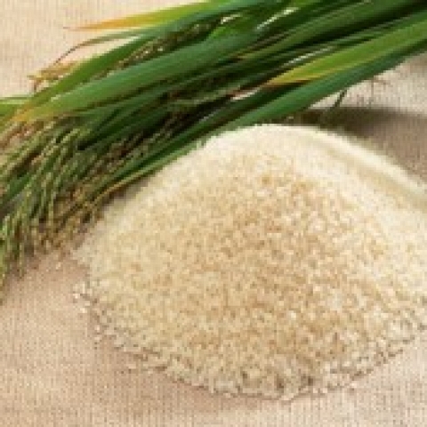 Supply white long grain rice