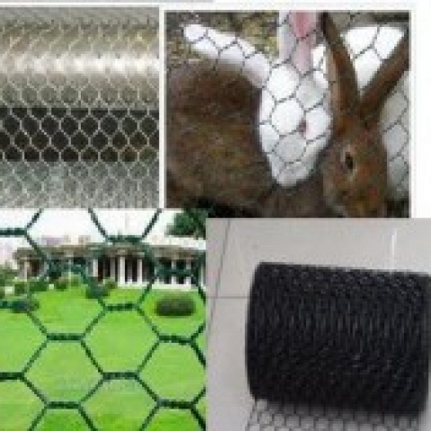 Gabion Box/ hexagonal wire nettings