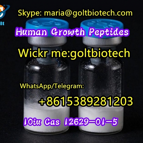 HGH Human Growth Hormone China supplier 100% safe delivery Wickr:goltbiotech