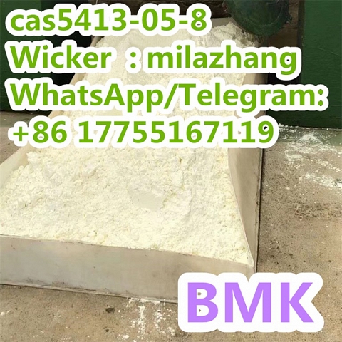 Professional Supplier High Purity Ethyl 3-Oxo-4-Phenylbutanoate CAS5413-05-8