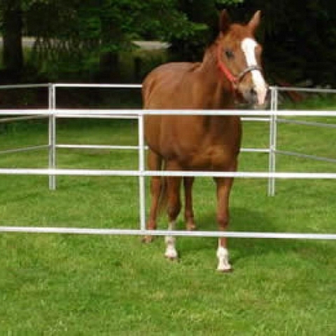 Portable Horse Panels