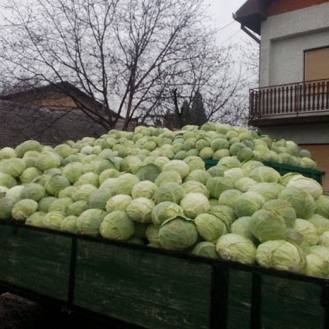 Serbian Fruits and Vegetables