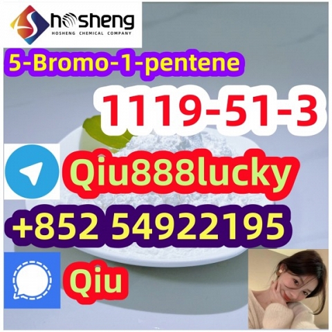 1119-51-3 5-Bromo-1-pentene