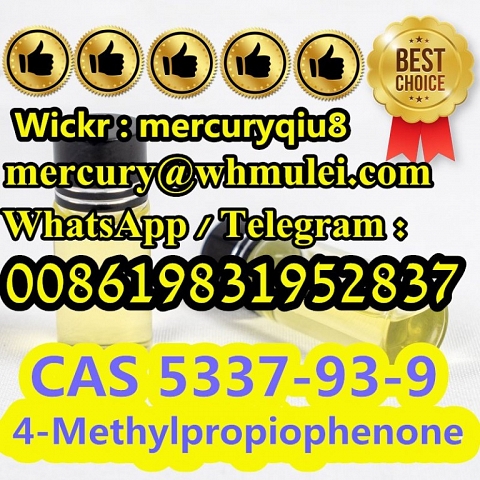 4-Methylpropiophenone,CAS 5337-93-9 (1-(p-Tolyl)propan-1-one 1-(4-methylphenyl)propan-1-one