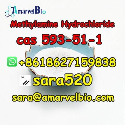 +8618627159838 Methylamine Hydrochloride CAS 593-51-1 Research Chemical with Fast Delivery