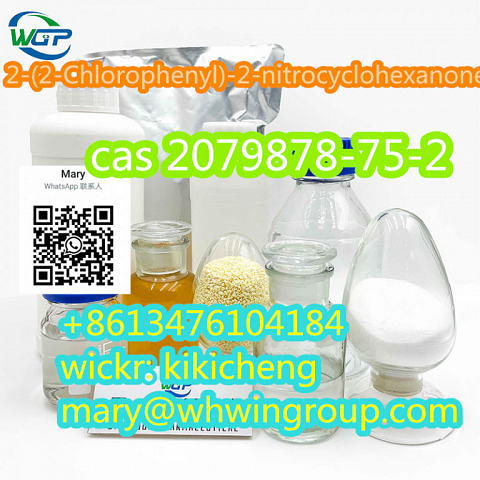 2-(2-Chlorophenyl)-2-nitrocyclohexanone CAS 2079878-75-2 +86-13476104184