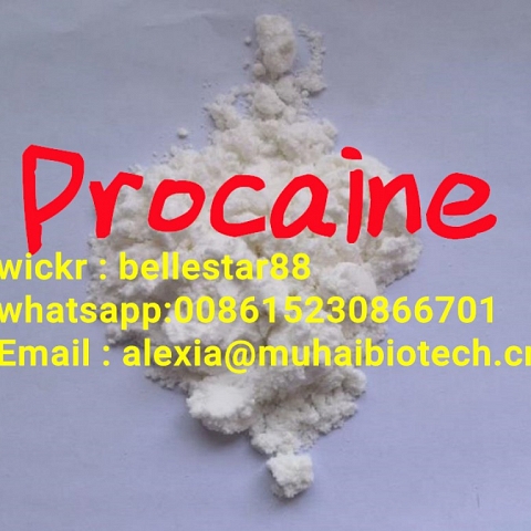 Procaine /Procaine Hydrochloride Wickrme:bellestar88