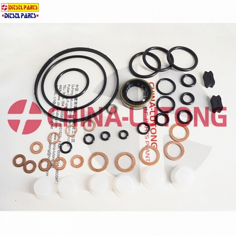 bosch pump repair kit-cav fuel injection pump rebuild kit for JMC Ve pump