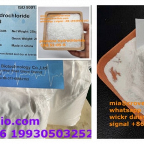 procaine supplier in China ( whatsapp +86 19930503252