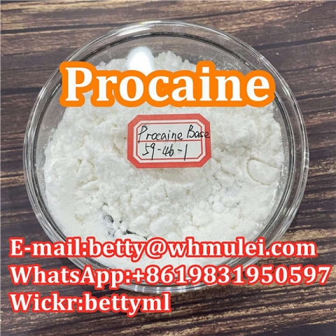 Cas:59-46-1 factory procaine,procaine powder favorable price safe delivery