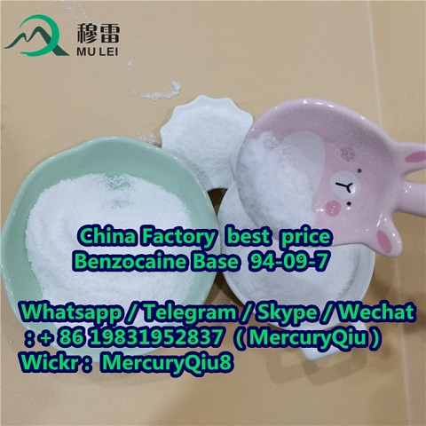 China wholesale price Benzocaine for Painkiller Powder  CAS No. 94-09-7 99% Purity Raw Material Powd