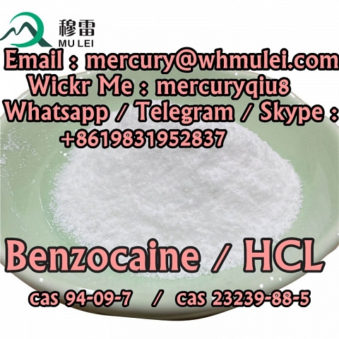  benzocaine purity benzocaine hcl  benzocaine hcl powder  Benzocaine Hydrochloride powder 