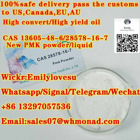 PMK powder cas 13605-48-6 CAS 28578-16-7,China seliable Factory supply