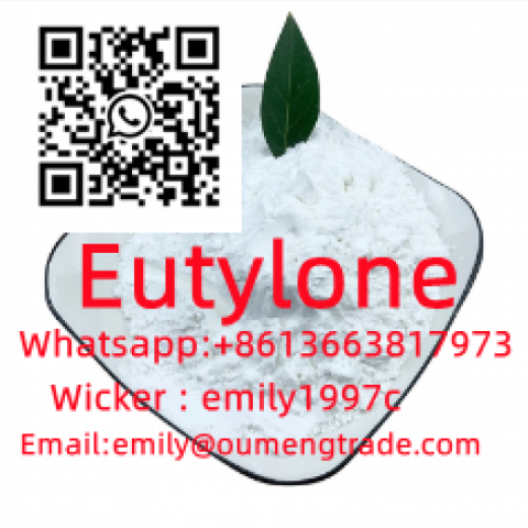 etizolam 40054-69-1 eutylone 802855-66-9 protonitazene 119276-01-6  2-bromazolam