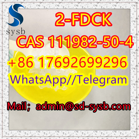 111982-50-4  2-FDCK  2fdck   