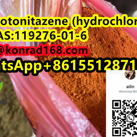  Protonitazene (hydrochloride) CAS:119276-01-6