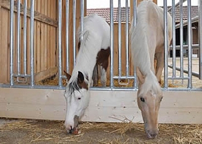 Horse Panel Feeding Rack