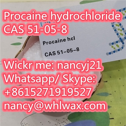 Factory wholesale price Procaine hydrochloride CAS 51-05-8 