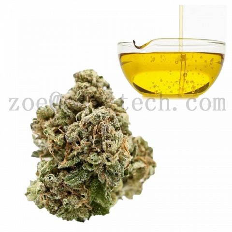 CBD oil hemp powder cas13956-29-1  zoe@czwytech.com