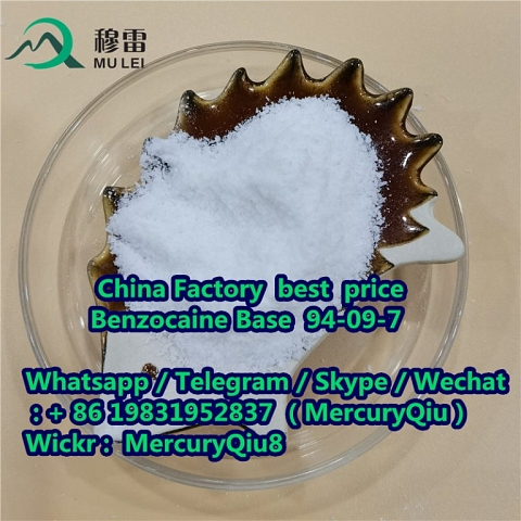 China wholesale price Benzocaine for Painkiller Powder  CAS No. 94-09-7 99% Purity Raw Material Powd