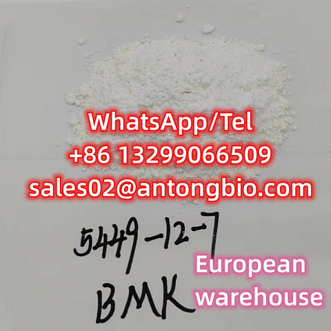 BMK Glycidic Acid (sodium salt) CAS 5449-12-7 European warehouse