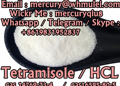 Safe delivery low price tetramisole base tetramisole 