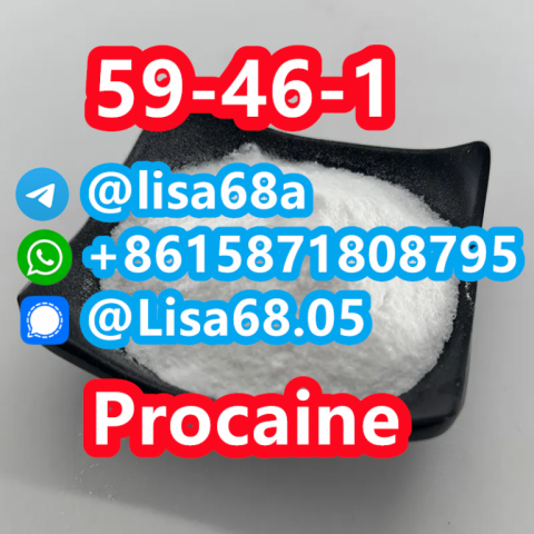 CAS 59-46-1 Procaine C13H20N2O2