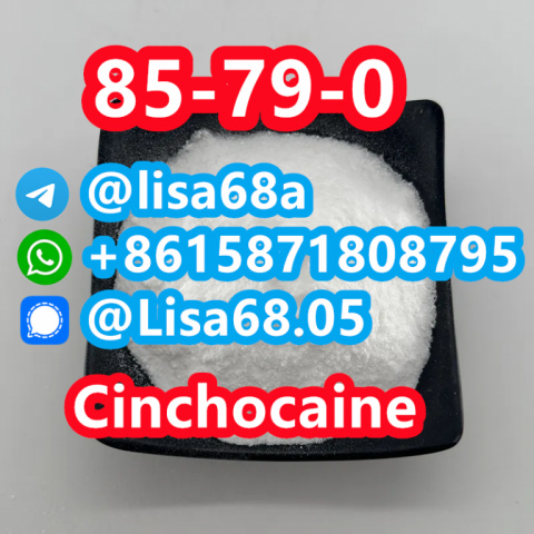 CAS 85-79-0 Cinchocaine C20H29N3O2