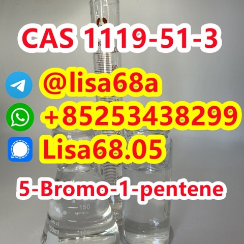 CAS 1119-51-3 5-Bromo-1-pentene C5H9Br