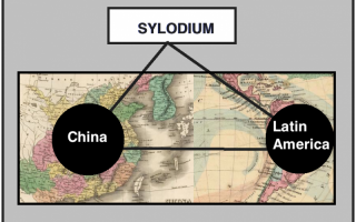 中国 - 拉美业务 (Sylodium信息，世界贸易)