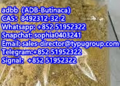 adbb（ADB-Butinaca） CAS8492312-32-2