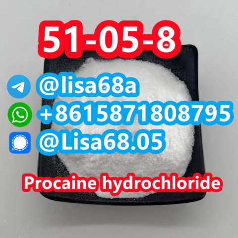 CAS 51-05-8 Procaine hydrochloride C13H21ClN2O2