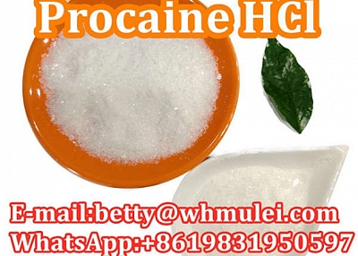 Cas:51-05-8 factory procaine hydrochloride procaine hcl powder favorable price safe delivery