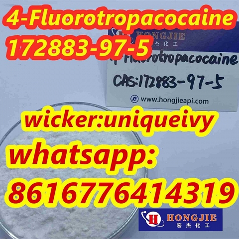 4-fluorotropacocaine cas:172883-97-5