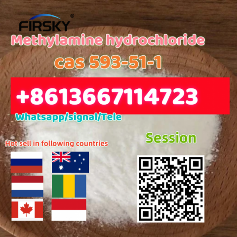 Cas 593-51-1 Methylamine hydrochloride Threema: SFTJNCW5 whatsapp +8613667114723