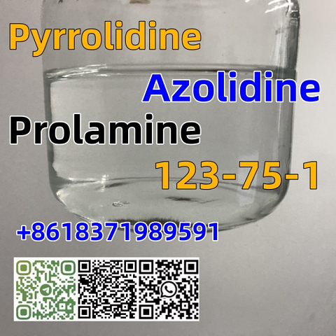 good quality Pyrrolidine CAS 123-75-1 factory supply with low price and fast shipping