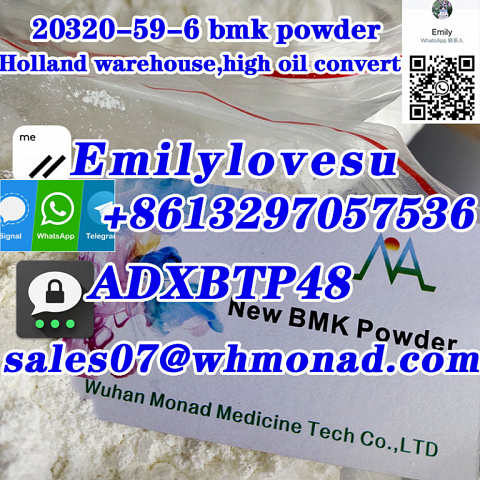 85% convert oil yield BMK powder new bmk CAS 20320-59-6 Holland stock door to door