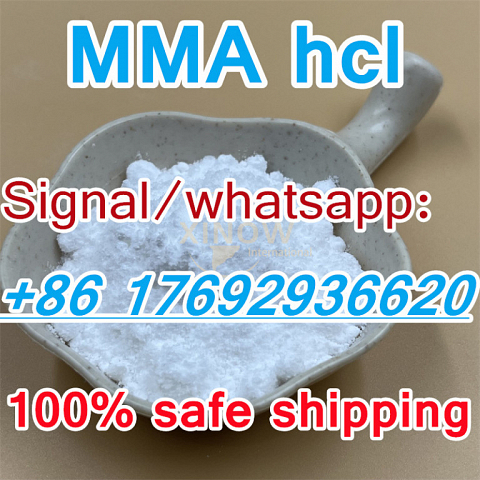 Methylamine hydrochloride MMA hcl,Methylamine hcl,593-51-1 Suppliers