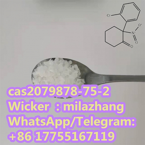 Top Quality 2- (2-Chlorophenyl) -2-Nitrocyclohexanone CAS2079878-75-2 with Factory Price