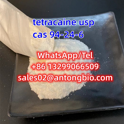 tetracaine usp CAS 94-24-6 C15H24N2O2